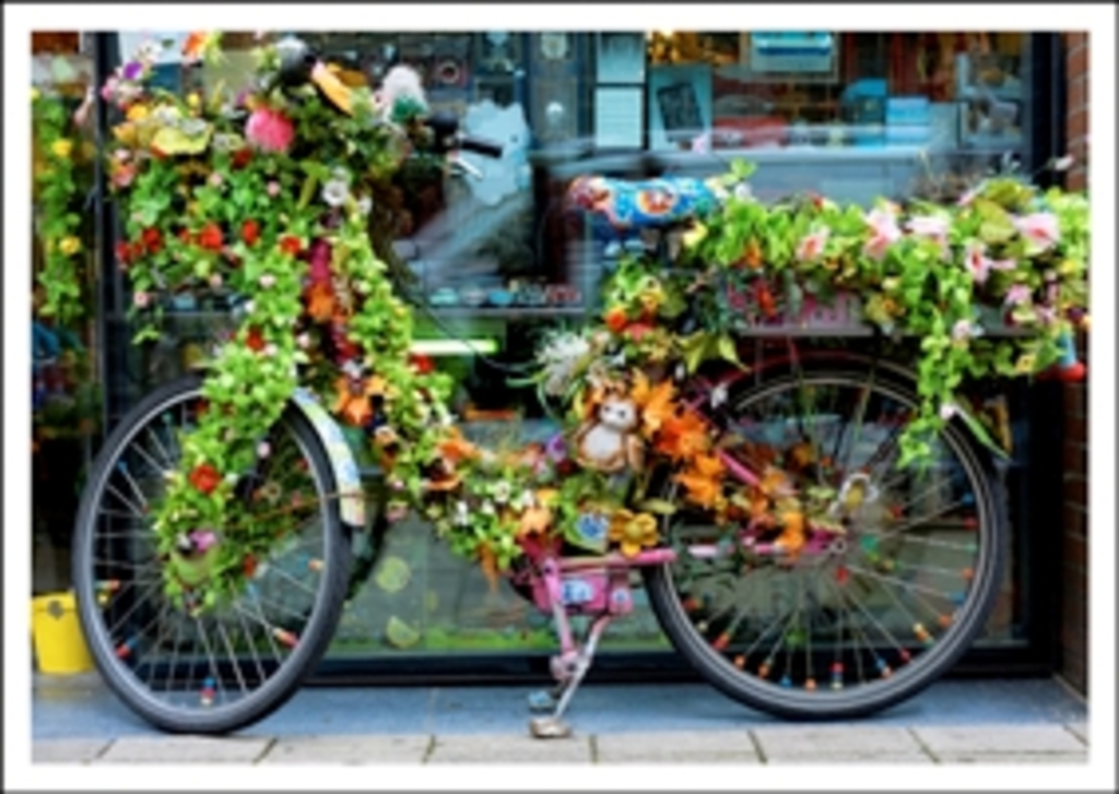 Meesterschap Talloos buis Ansichtkaart kiek fiets met bloemen | Meerleuks